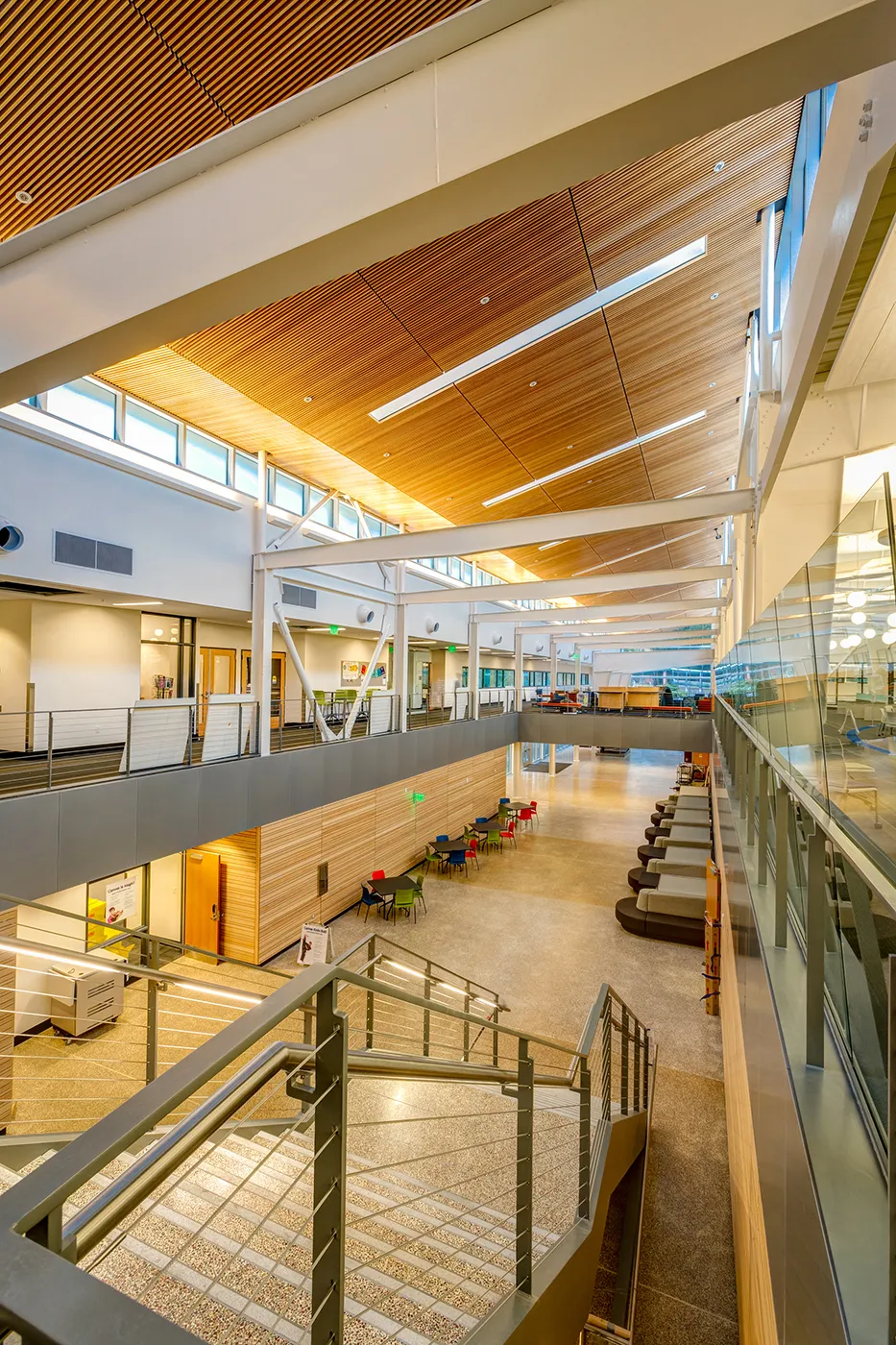 Photo of new atrium from the top of a staircase with warm natural light flooding in.