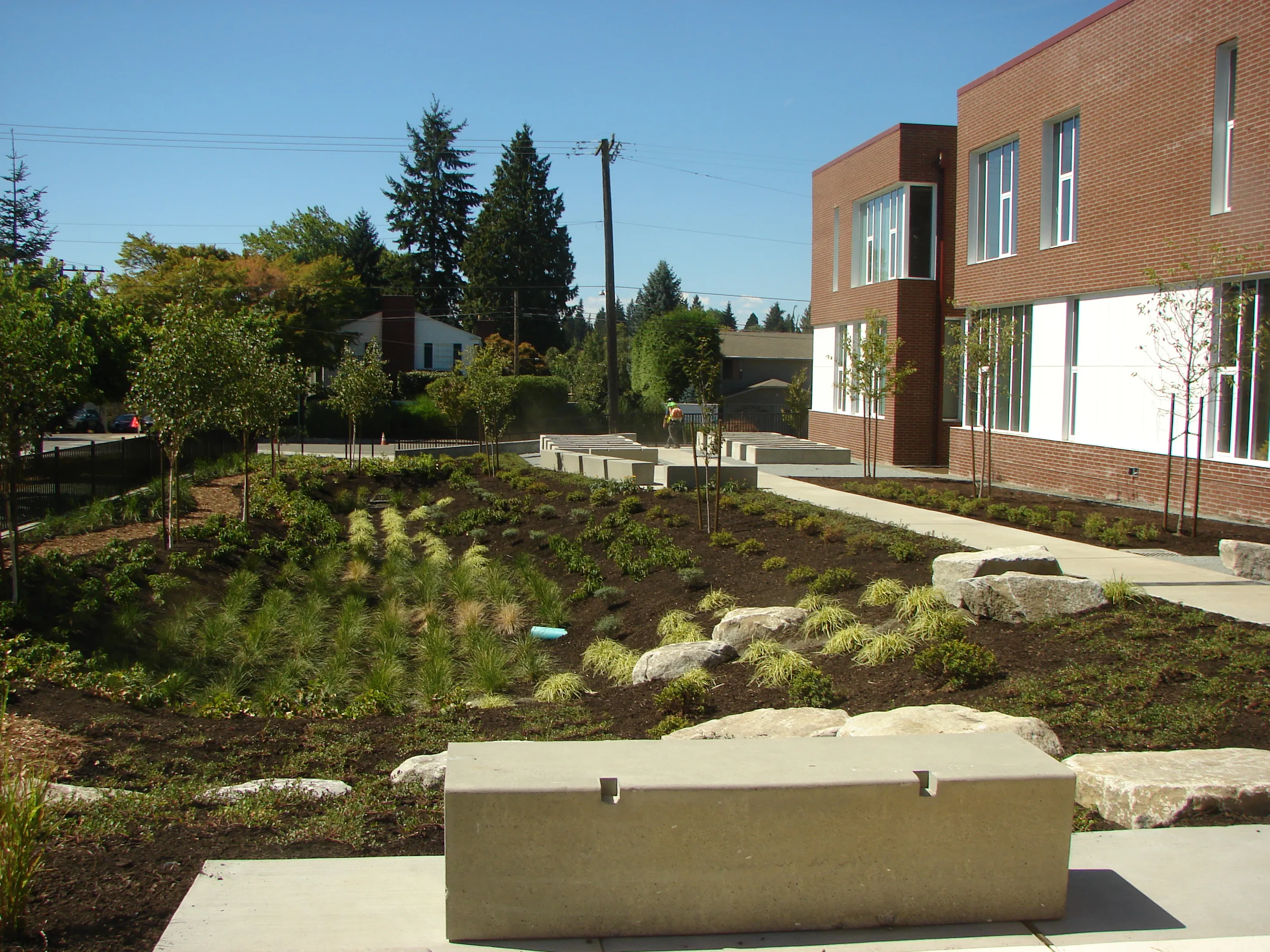 Photo taken from outside the Library, looking West over the 'rain-garden' area. Photo taken from outside the Library, looking West over the 'rain-garden' area.